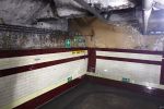 PICTURES/London - Down Street Tube Station/t_Leslie Green Tile2.JPG